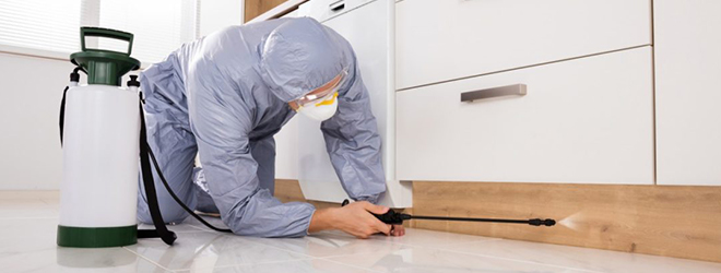 Hygiene and Pest Control